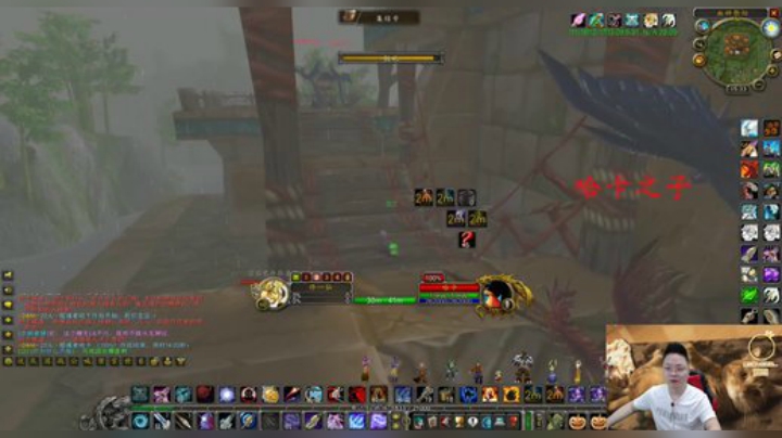 魔兽世界怀旧服：小伙带你领略神哈卡的风姿，太大了占满整个屏幕