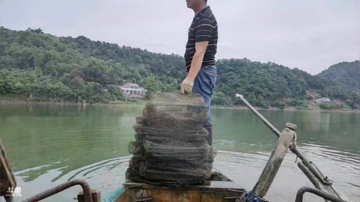 涨水水库地笼有惊喜？？？ 2020-05-15 10点场