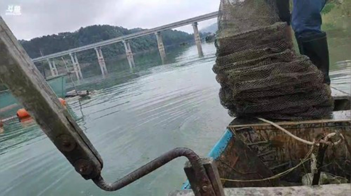 涨水水库地笼有惊喜？？？ 2020-05-15 09点场