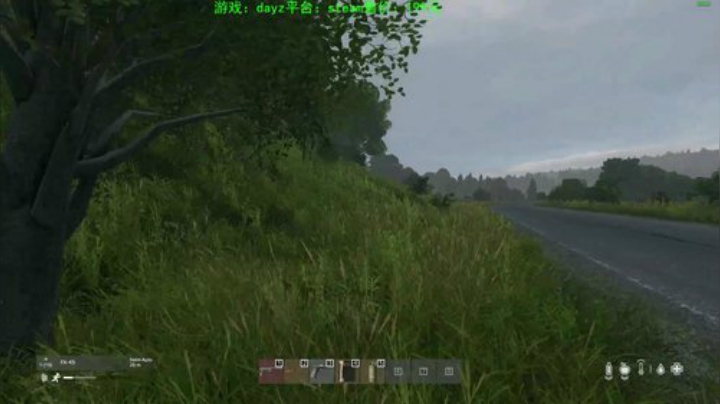 dayz (年轻人，游戏不是这么玩滴） 2020-05-14 13点场