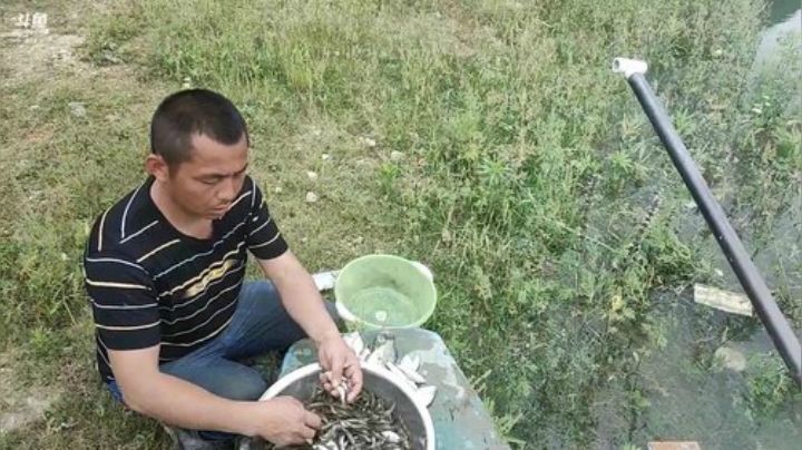 涨水水库地笼有惊喜？？？ 2020-05-15 12点场