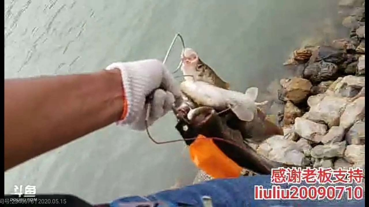 出大货