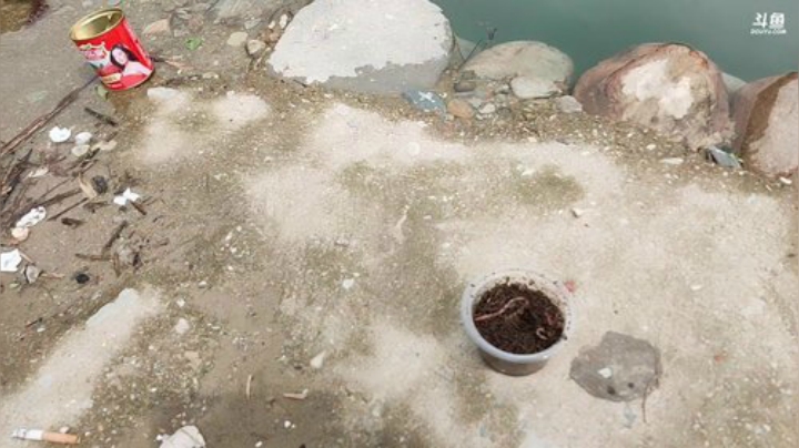 岳父家溪边钓鱼！！ 2020-05-16 10点场