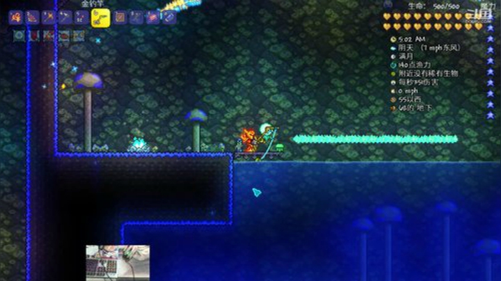 [泰拉瑞亚]玩游戏一定要快乐 2020-05-15 23点场