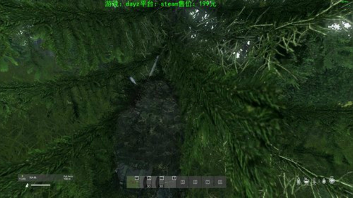 dayz (年轻人，游戏不是这么玩滴） 2020-05-15 18点场