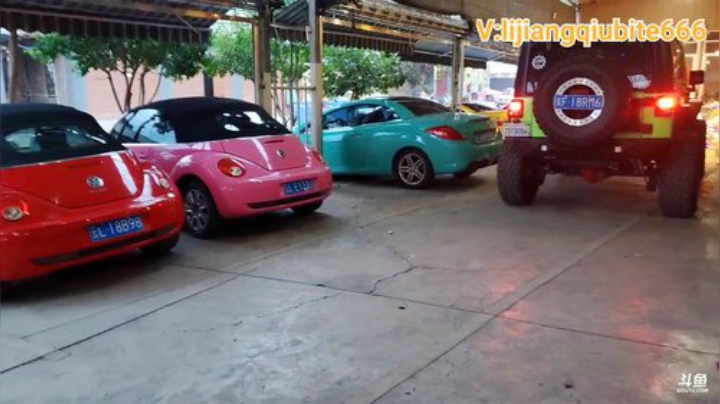 户外遛狗王飞哥发布了一个斗鱼视频2020-05-16