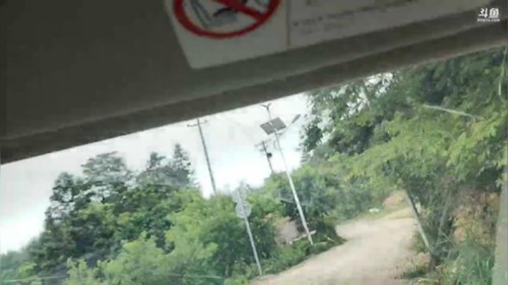 岳父家溪边钓鱼！！ 2020-05-16 11点场