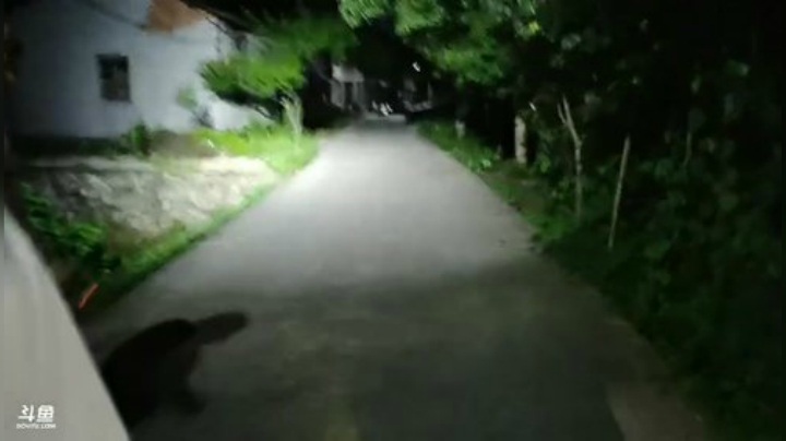 HHHISHHH发布了一个斗鱼视频2020-05-16