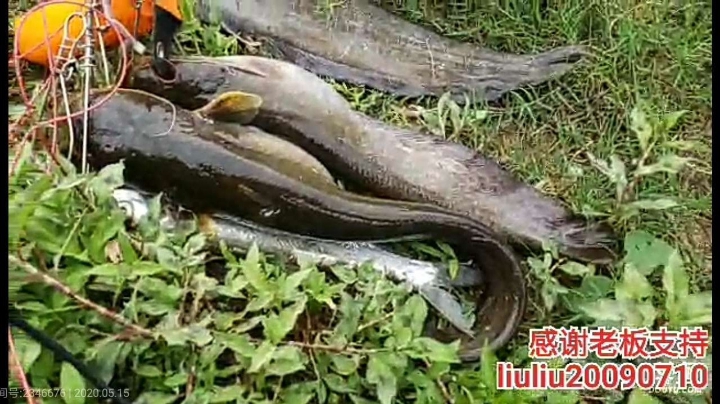 上货