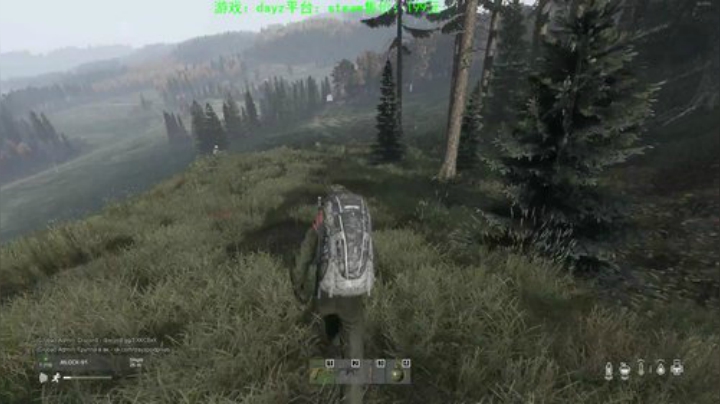 dayz (年轻人，游戏不是这么玩滴） 2020-05-16 14点场