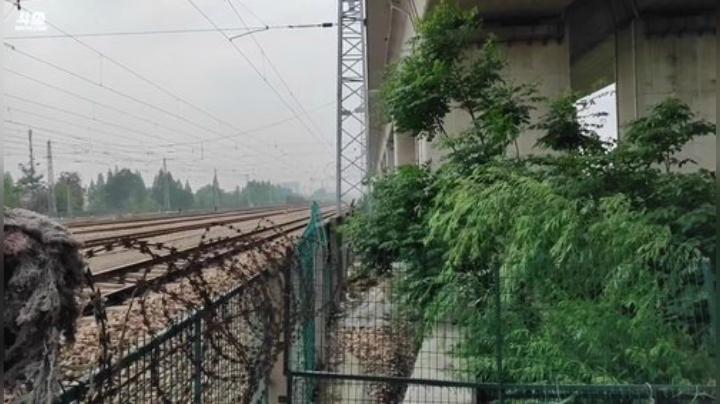 开始直播啦，新地方 2020-05-10 14点场