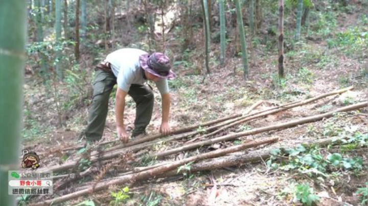我在斗鱼看野食小哥直播美食