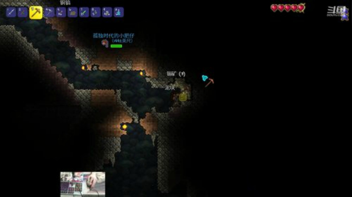 [泰拉瑞亚]玩游戏一定要快乐 2020-05-17 23点场