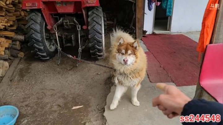 纪实直播;理塘到拉萨53天→林芝 2020-05-18 17点场