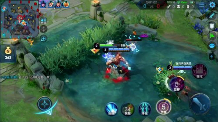 我在斗鱼看林蒙m直播王者荣耀