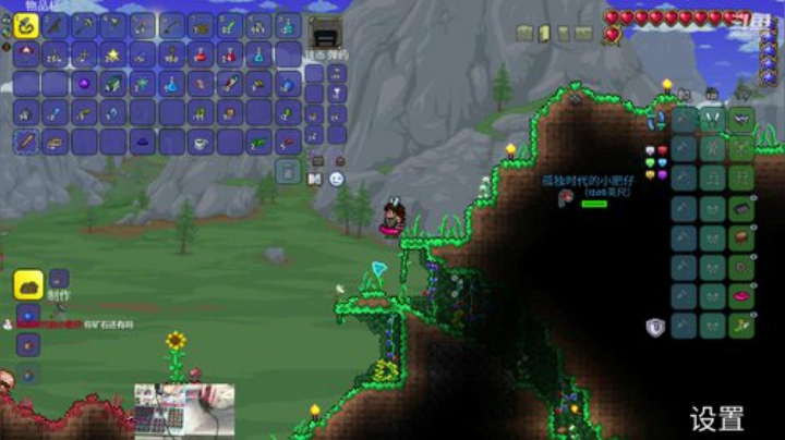 [泰拉瑞亚]玩游戏一定要快乐 2020-05-19 00点场