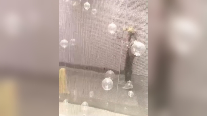 [鲨鱼宝宝]明天开始正常直播啦