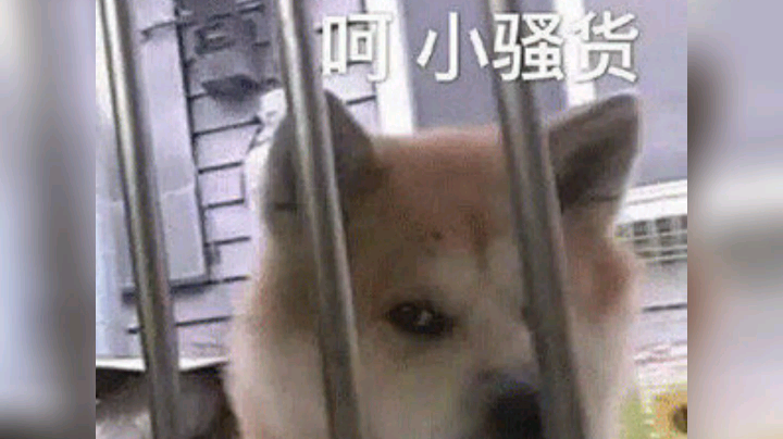 呵，男人[弱鸡skr]
感受一下咱们家房管的“呐呐咪”
投票