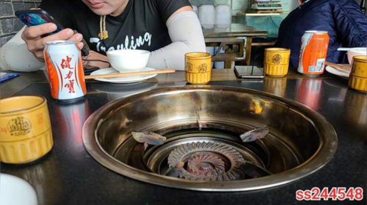 纪实直播;理塘到拉萨54天→林芝 2020-05-19 14点场