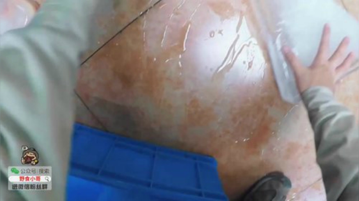 我在斗鱼看野食小哥直播美食