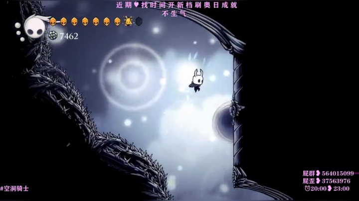 200519 空洞骑士 100%达成！
