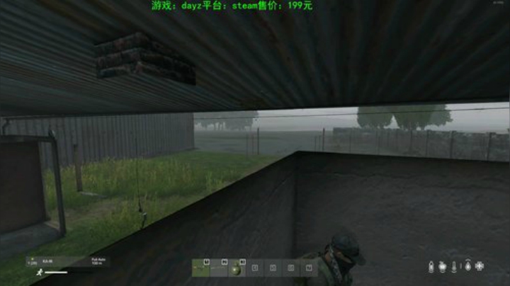 dayz (年轻人，游戏不是这么玩滴） 2020-05-19 20点场