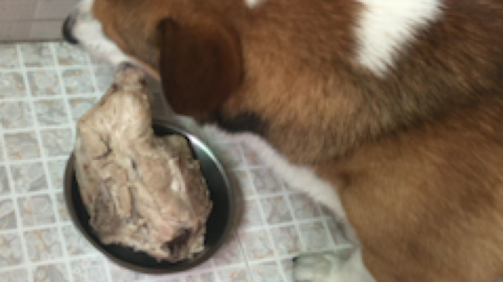 二炮吃骨头