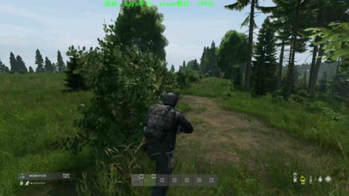 dayz (年轻人，游戏不是这么玩滴） 2020-05-18 23点场