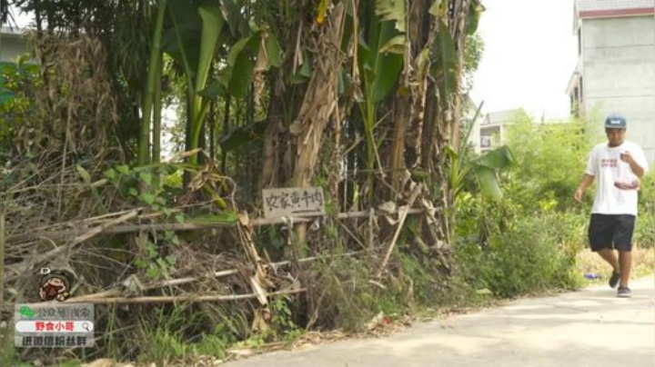 我在斗鱼看野食小哥直播美食