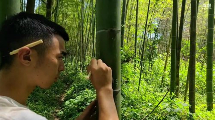 基地建设中…… 2020-05-18 11点场