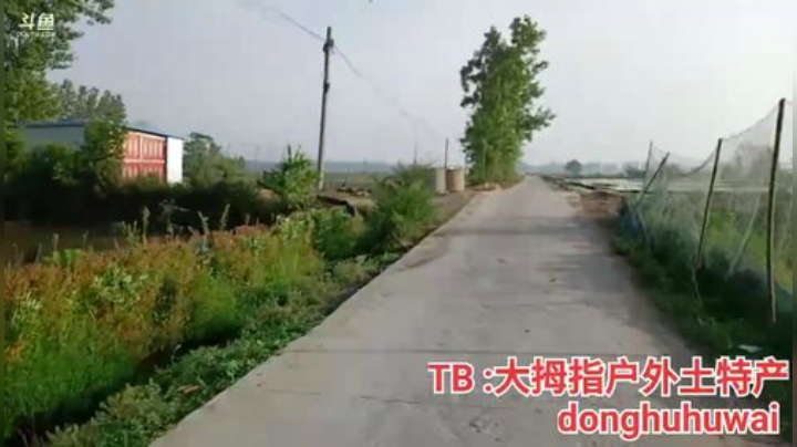 今天收大地笼！有没有惊喜呢？ 2020-05-17 06点场