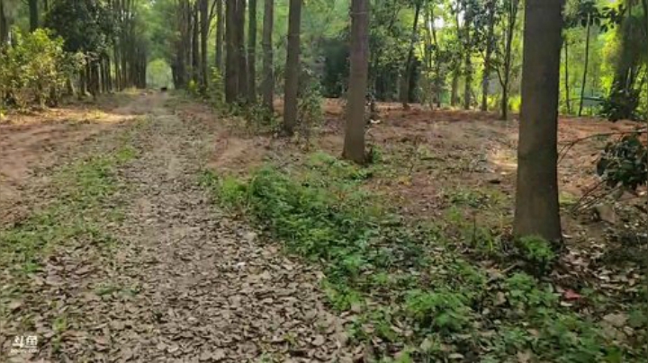 接富贵回家 2020-05-19 16点场