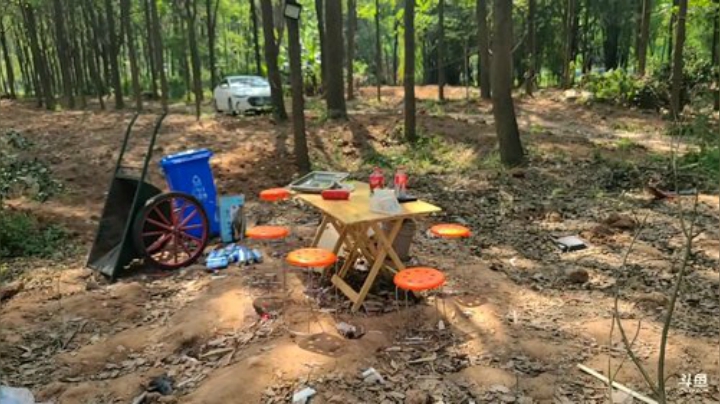 接富贵回家 2020-05-19 14点场