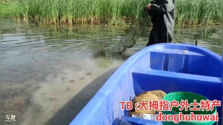 今天收大地笼！有没有惊喜呢？ 2020-05-17 07点场