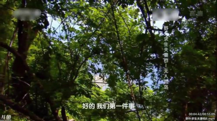 户外遛狗王飞哥发布了一个斗鱼视频2020-05-21