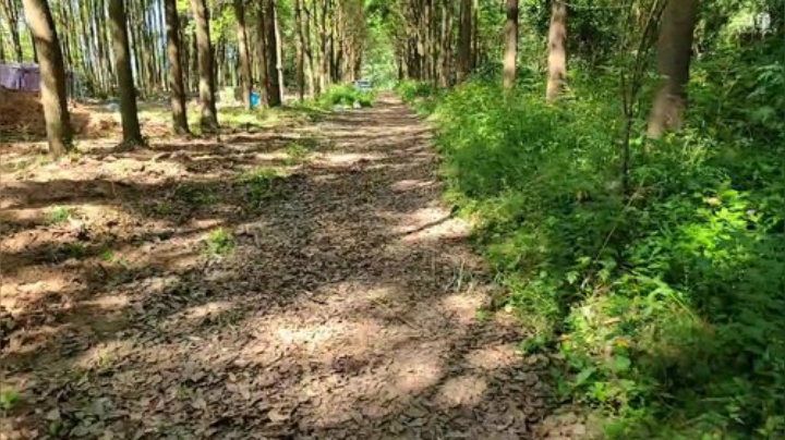 基地建设中…… 2020-05-18 09点场