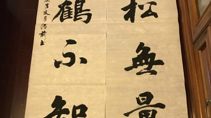“古松无量寿，老鹤不知年”