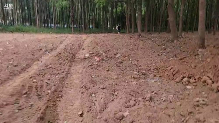 接富贵回家 2020-05-19 18点场