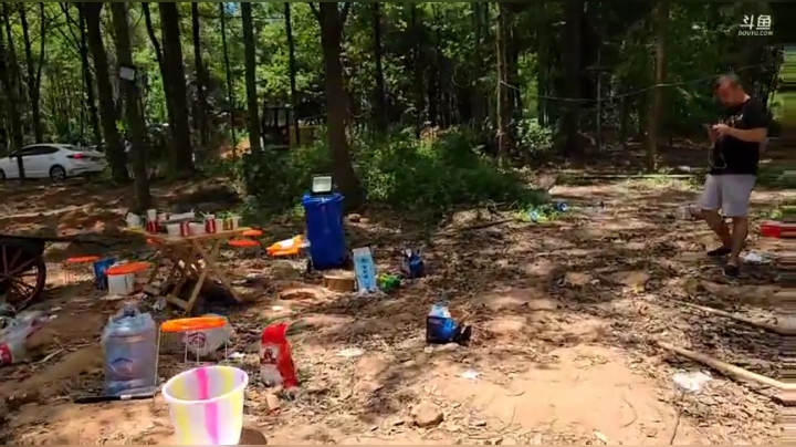 下午看看天鹅～ 2020-05-18 13点场