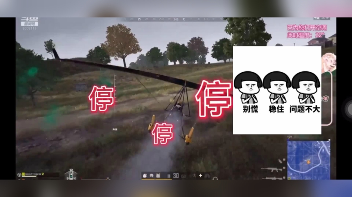 妮仔的无证驾驶