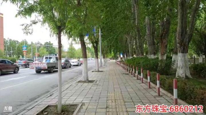 纪实直播;理塘到拉萨58天→拉萨羊湖 2020-05-22 12点场