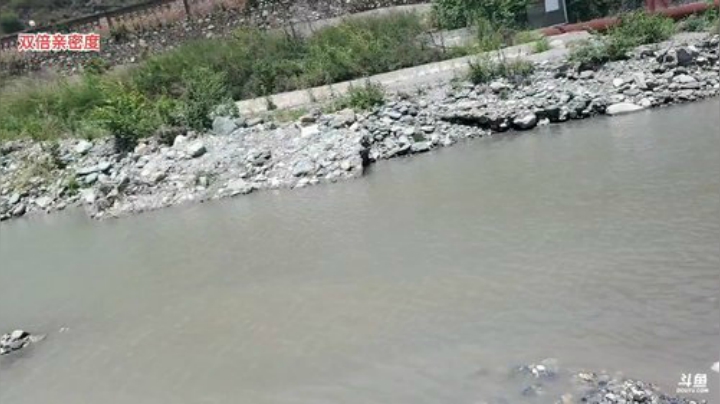 不隐瞒了我摊 其实我搞鱼凶到爆(≧ω≦) 2020-05-19 13点场