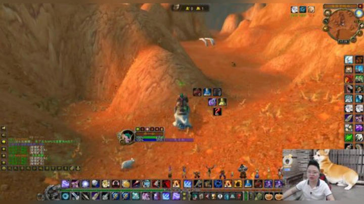 魔兽世界怀旧服：囤货奇才的经商之路！小伙血与泪得来的经验之谈