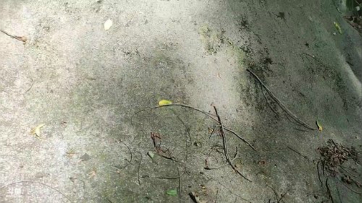 河道玩耍美食。 2020-05-22 13点场