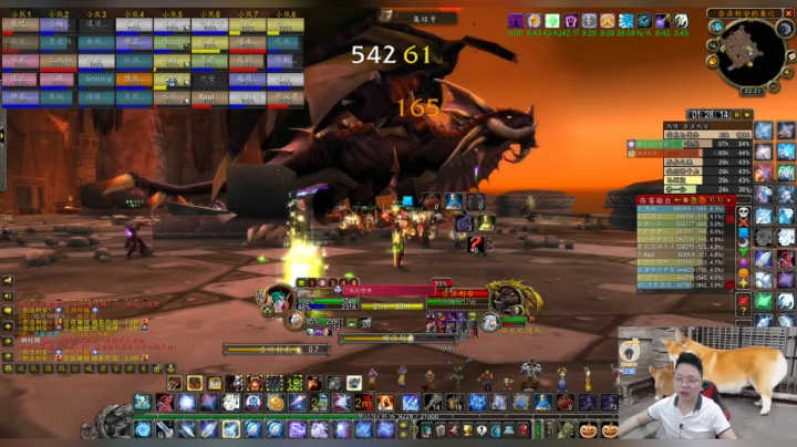 魔兽世界怀旧服：小伙的DKP团要被黑散了，奈法掉落再创新低！