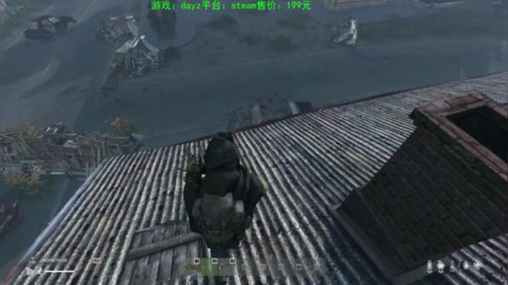 dayz (年轻人，游戏不是这么玩滴） 2020-05-21 22点场
