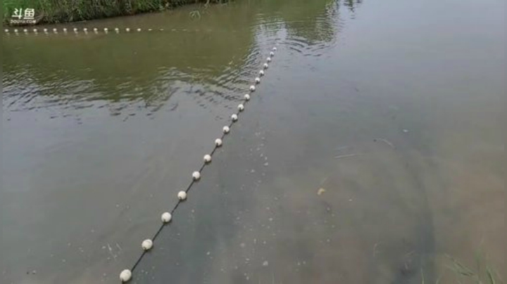 今天拉网鱼获爆炸 2020-05-21 15点场