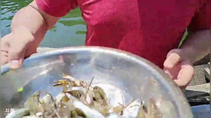 带火爆哥体验水库生活 2020-05-23 11点场