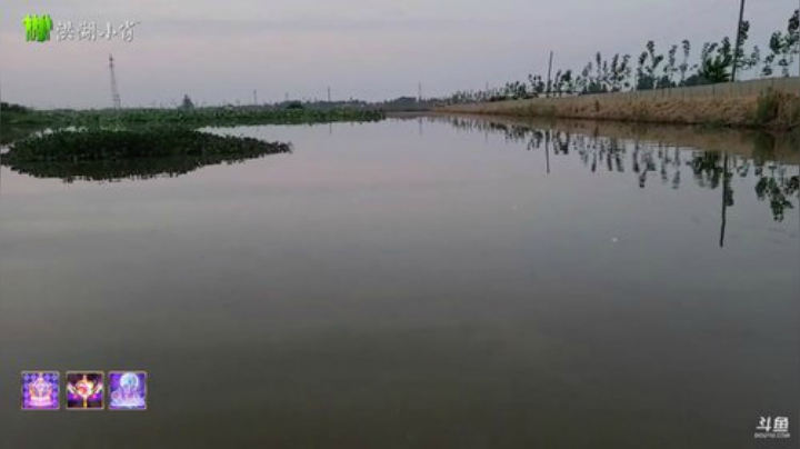 今天下河拉网 2020-05-23 18点场