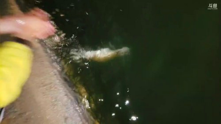 12点半开播(≧ω≦) 2020-05-24 00点场